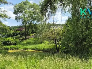 Pronájem zahrady, Sadov, 3000 m2