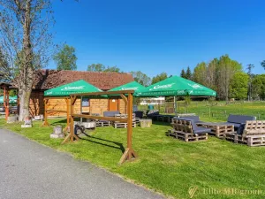Prodej restaurace, Horní Planá, 44 m2