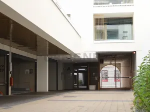 Pronájem bytu 1+kk, Brno, Cejl, 30 m2