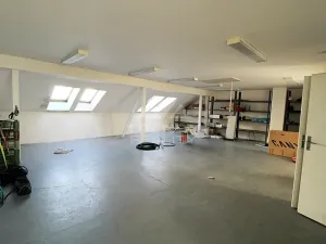 Prodej činžovního domu, Plzeň, Pod Všemi svatými, 450 m2