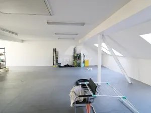 Prodej činžovního domu, Plzeň, Pod Všemi svatými, 450 m2