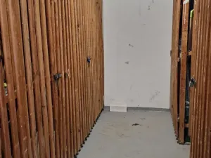 Prodej bytu 1+kk, Plzeň, Sokolovská, 32 m2