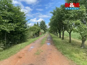 Prodej zahrady, Dobruška, Doly, 580 m2