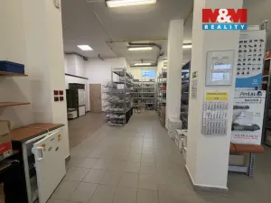 Pronájem obchodního prostoru, Tábor, U Čápova dvora, 415 m2