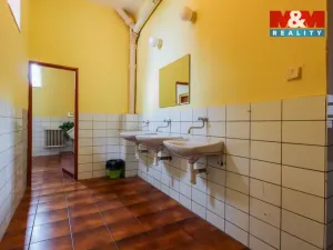 Prodej obchodního prostoru, Kravaře, Opavská, 1355 m2