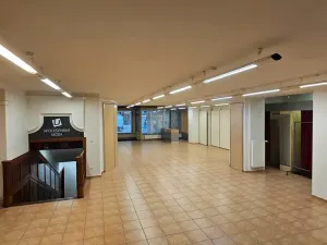 Pronájem obchodního prostoru, Brno, Masarykova, 504 m2