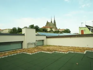 Pronájem bytu 1+kk, Brno, Vodní, 20 m2
