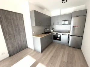 Pronájem bytu 2+kk, Brno - Černá Pole, třída Generála Píky, 56 m2