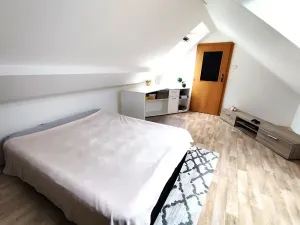 Pronájem bytu 4+1, Chrudim, Palackého třída, 133 m2