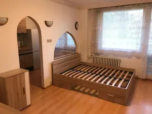 Pronájem bytu 1+kk, Praha, Jílovská, 35 m2