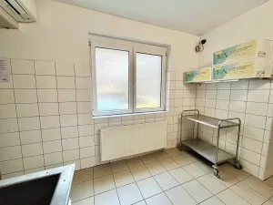 Prodej restaurace, Štěchovice, 90 m2