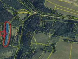 Prodej lesa, Nemile, 3224 m2