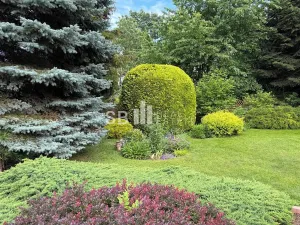 Prodej chaty, Mohelnice, 98 m2