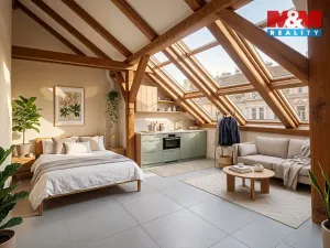 Prodej půdního prostoru, Praha, Husitská, 126 m2