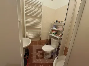 Pronájem bytu 1+kk, Praha - Letňany, Malkovského, 33 m2