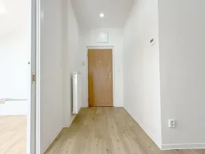 Pronájem bytu 4+kk, Praha, Vinohradská, 91 m2