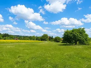 Prodej zahrady, Nová Ves, 658 m2