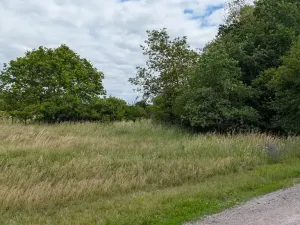 Prodej zahrady, Nová Ves, 658 m2