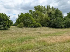Prodej zahrady, Nová Ves, 658 m2