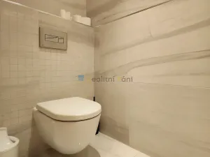 Pronájem bytu 1+kk, Praha - Smíchov, U Nikolajky, 39 m2