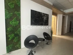 Pronájem kanceláře, Brno, Vídeňská, 504 m2
