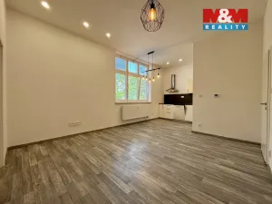 Pronájem bytu 2+kk, Ostrava - Vítkovice, Ruská, 60 m2