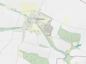 Prodej lesa, Černíkovice, 2471 m2