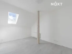 Prodej rodinného domu, Staré Město, Jamnická, 250 m2