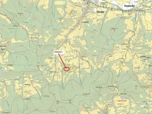 Dražba lesa, Hovězí, 1547 m2