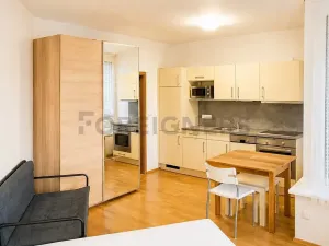 Pronájem bytu 1+kk, Brno, Kopečná, 29 m2