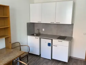 Pronájem bytu 1+kk, Praha - Nové Město, Navrátilova, 22 m2