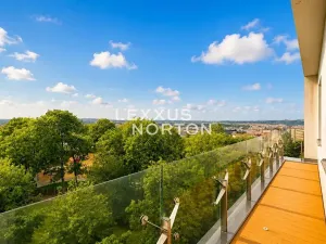 Pronájem bytu 5+1, Praha - Vinohrady, Chopinova, 204 m2