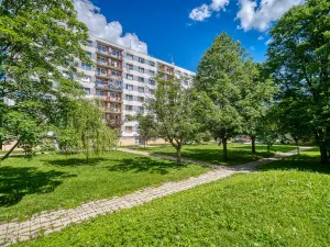 Pronájem bytu 2+1, Trutnov - Horní Staré Město, Pomněnková, 55 m2
