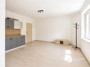 Prodej bytu 1+kk, Brno, Viniční, 28 m2