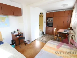 Pronájem bytu 1+kk, Praha, Formanská, 18 m2