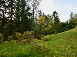 Prodej chaty, Číhošť, 75 m2