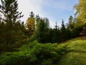 Prodej chaty, Číhošť, 75 m2