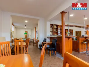 Prodej rodinného domu, Kravaře, Opavská, 1355 m2