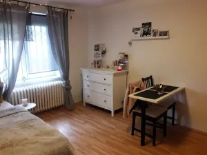 Pronájem bytu 1+kk, Praha - Žižkov, U kněžské louky, 35 m2