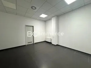 Pronájem kanceláře, Brno, Letiště Brno-Tuřany, 300 m2