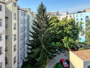 Pronájem bytu 3+1, Brno, Křídlovická, 119 m2