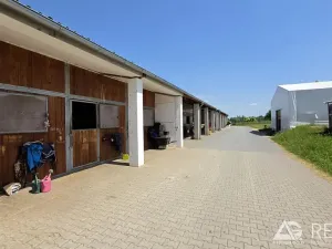 Prodej zemědělského objektu, Úžice, 5128 m2