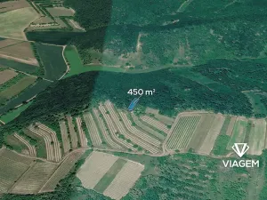 Prodej lesa, Němčičky, 450 m2