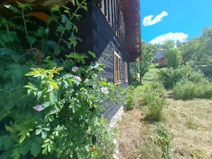 Prodej rodinného domu, Valašská Senice, 90 m2