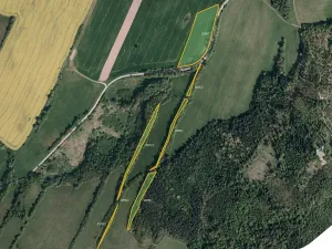 Prodej louky, Město Albrechtice, 64132 m2