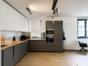 Pronájem bytu 6+kk a větší, Praha - Žižkov, Olgy Havlové, 115 m2