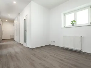 Pronájem bytu 2+kk, Opava, Solná, 90 m2