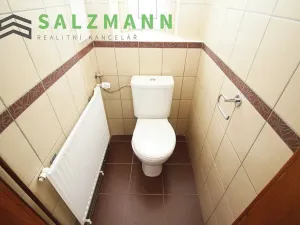 Pronájem bytu 2+1, Plzeň, Plachého, 71 m2