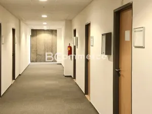 Pronájem kanceláře, Brno, 37 m2