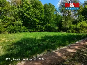 Prodej pole, Pňov-Předhradí - Pňov, 142115 m2